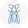 Amersham Wasp Nest Removal